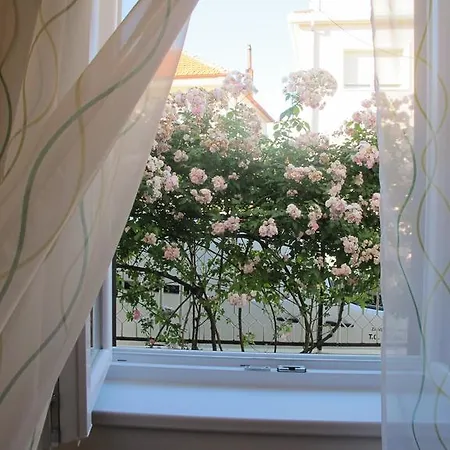 Apartman Aria