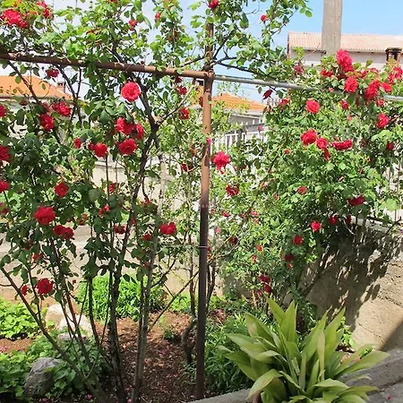Apartman Aria
