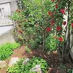 Aria Apartamento